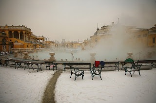 Széchenyi Baths in snow, Budapest